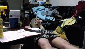 svCR7935241666767786.08.gif