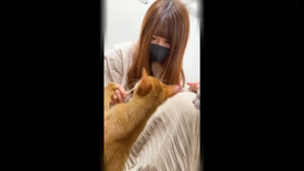 Afxrm020f01669054448.35.62.png