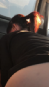 fWe3v016991673515387.19.png
