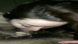 0IPVf525051679661566.64.mp4_000002829.png
