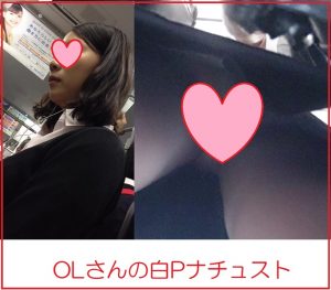 9YM3G9df2b1678534647.08.jpg