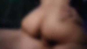 WHyfybb73a1682748681.94.86640.jpg