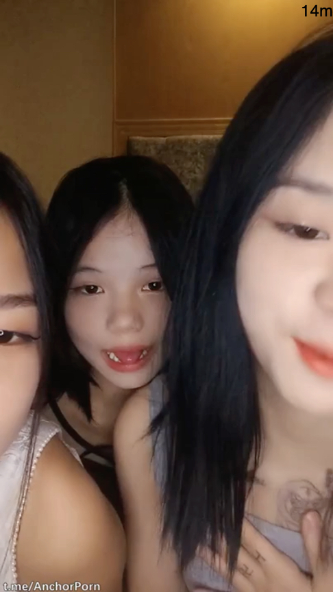 wahva452891682599707.57.jpg
