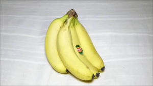 WzB0Ef4a8c1683543341.05.png