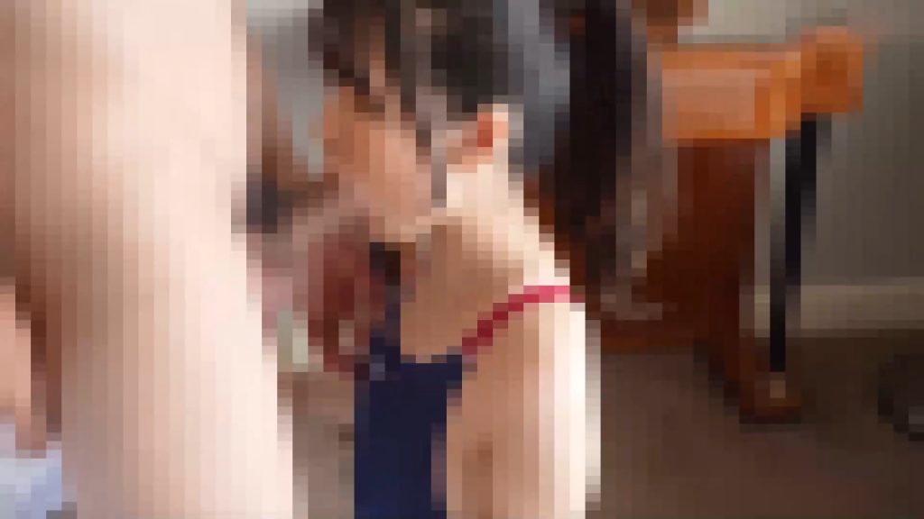 k34plc26421685936668.01.00000.jpg