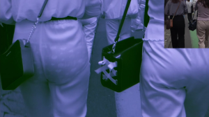 xLAnU894b01687100525.06.mp4_000233000.png