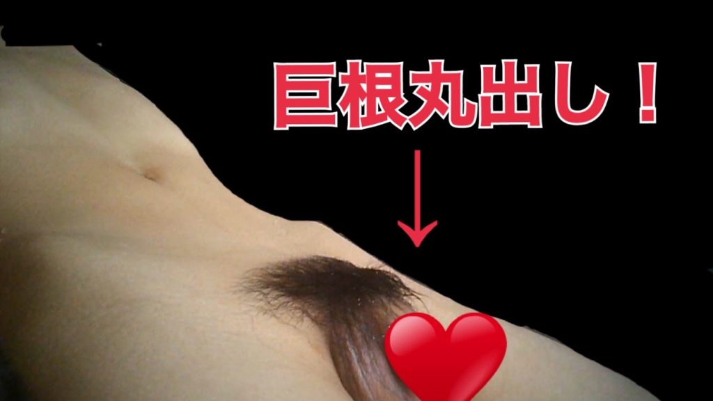 vlEvC7fdd51692860799.75.jpeg