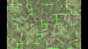 4SiVNbd5ee1697861189.99.mp4_snapshot_00.00.01.650.jpg