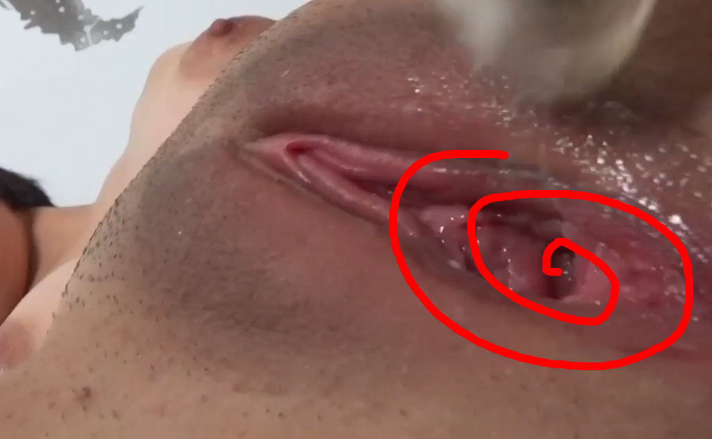 Hp0p7f7bf51698501909.52.png
